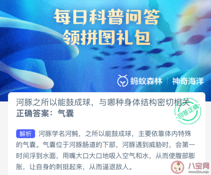 河豚之所以能鼓成球與哪種身體結構密切相關 神奇海洋1月20日答案 河豚之所以能鼓成球與哪種身體結構密切相關 神奇海洋1月20日答案