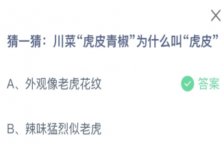 川菜虎皮青椒為什么叫虎皮 螞蟻莊園1月21日答案