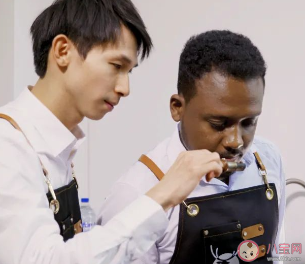 有一種職業叫尋豆師猜猜是尋找什么豆 螞蟻新村1月23日答案 有一種職業叫尋豆師猜猜是尋找什么豆 螞蟻新村1月23日答案