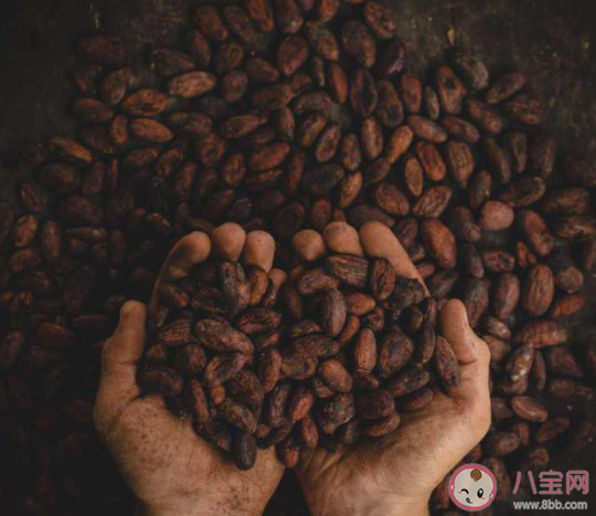 有一種職業叫尋豆師猜猜是尋找什么豆 螞蟻新村1月23日答案 有一種職業叫尋豆師猜猜是尋找什么豆 螞蟻新村1月23日答案