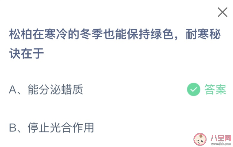 松柏在寒冷的冬季也能保持綠色耐寒秘訣在于 螞蟻莊園1月24日答案 松柏在寒冷的冬季也能保持綠色耐寒秘訣在于 螞蟻莊園1月24日答案
