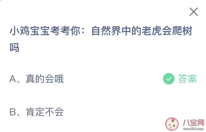 自然界中的老虎會爬樹嗎 螞蟻莊園1月25日答案 自然界中的老虎會爬樹嗎 螞蟻莊園1月25日答案
