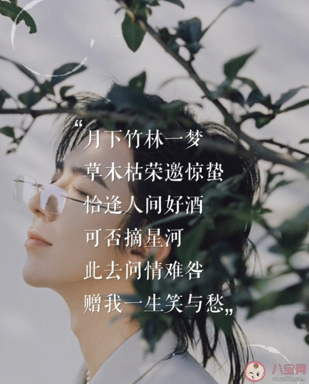 劉宇寧《天河夢》歌詞是什么 《天河夢》歌詞歌曲介紹