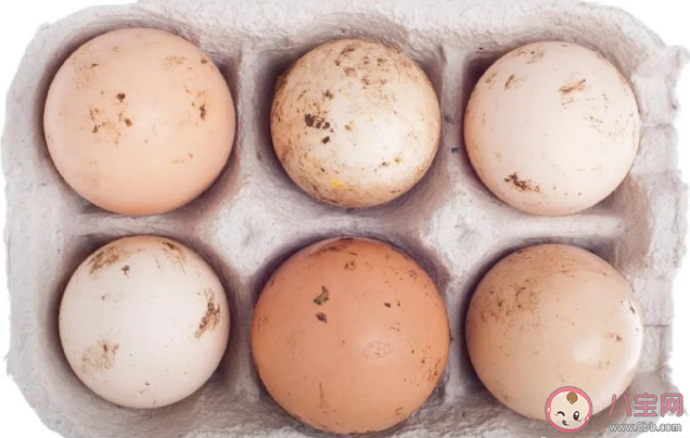 雞蛋上最臟的東西可能被你吃了嗎 為什么不建議清洗雞蛋后放冰箱 雞蛋上最臟的東西可能被你吃了嗎 為什么不建議清洗雞蛋后放冰箱