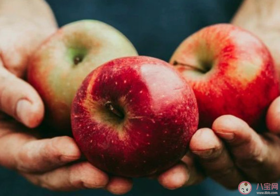 為什么各科專家都勸你吃點蘋果 煮蘋果水喝了有什么好處 為什么各科專家都勸你吃點蘋果 煮蘋果水喝了有什么好處