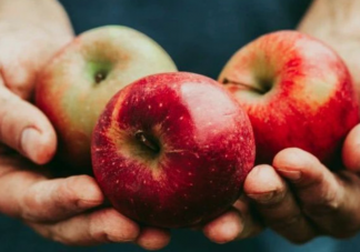 為什么各科專家都勸你吃點蘋果 煮蘋果水喝了有什么好處