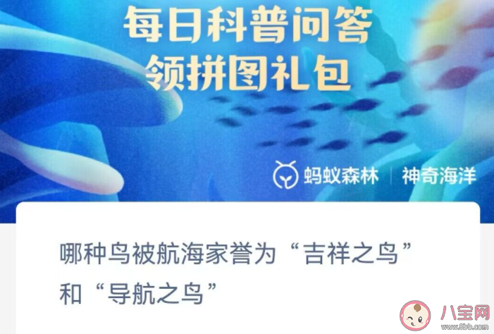 哪種鳥被航海家譽(yù)為吉祥之鳥和導(dǎo)航之鳥 神奇海洋1月26日答案 哪種鳥被航海家譽(yù)為吉祥之鳥和導(dǎo)航之鳥 神奇海洋1月26日答案