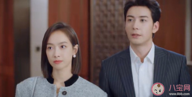 《我們的翻譯官》林西推遲婚禮是為什么 消博會是誰中標