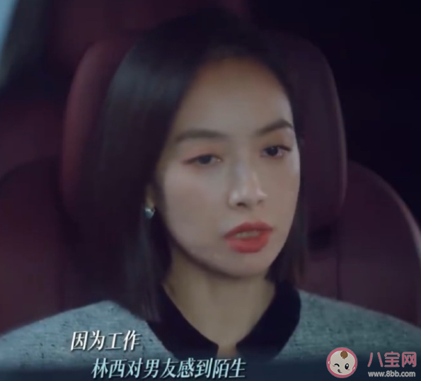 《我們的翻譯官》林西推遲婚禮是為什么 消博會是誰中標