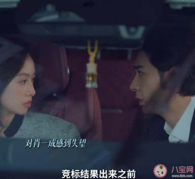 《我們的翻譯官》林西推遲婚禮是為什么 消博會是誰中標