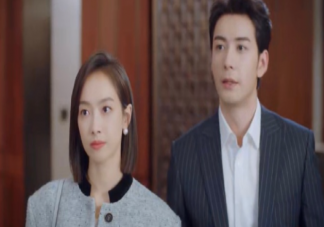 《我們的翻譯官》林西推遲婚禮是為什么 消博會是誰中標