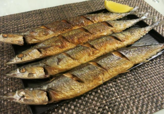 以下哪種魚屬于海魚 神奇海洋2月5日答案