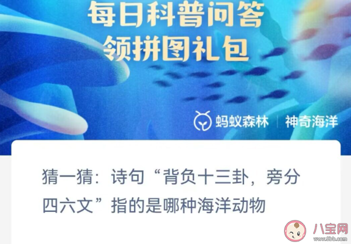詩句背負十三卦旁分四六文指的是哪種海洋動物 神奇海洋2月6日答案