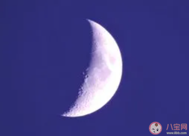 我國古代詠月詩寫得最多的詩人是誰 螞蟻莊園2月7日答案