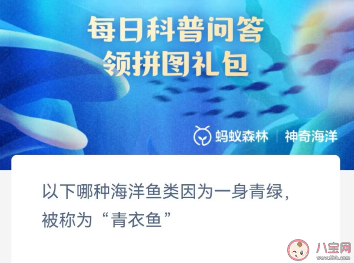 以下哪種海洋魚類因為一身青綠被稱為青衣魚 神奇海洋2月7日答案 以下哪種海洋魚類因為一身青綠被稱為青衣魚 神奇海洋2月7日答案