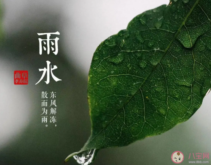 猜一猜以下哪個節氣被稱為可耕之候 螞蟻莊園2月19日答案