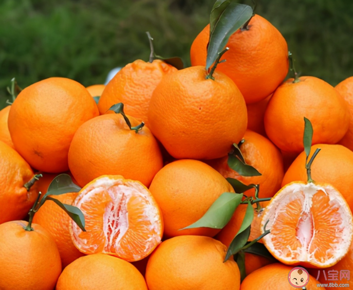 耙耙柑的耙耙說的是水果的哪種特點(diǎn) 螞蟻莊園2月20日答案 耙耙柑的耙耙說的是水果的哪種特點(diǎn) 螞蟻莊園2月20日答案