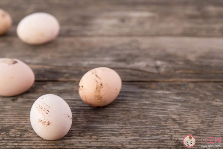 沒有雞屎的雞蛋就真的干凈嗎 雞蛋上看不見的致病菌有哪些