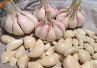 每天吃一瓣大蒜身體會有什么變化 大蒜真能抗癌殺菌嗎