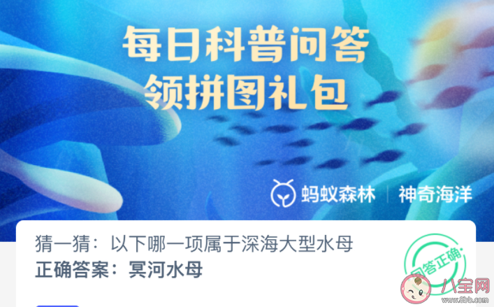 以下哪一項屬于深海大型水母 神奇海洋2月23日答案