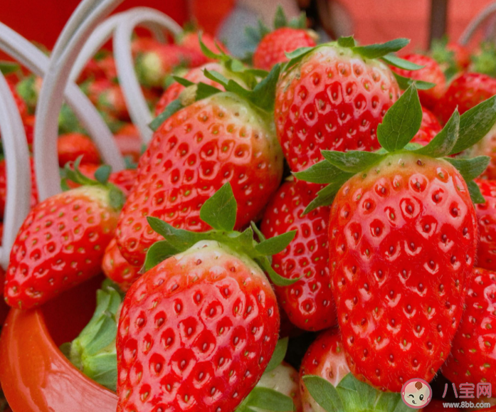 草莓價格腰斬了是怎么回事 草莓能不能多吃 草莓價格腰斬了是怎么回事 草莓能不能多吃