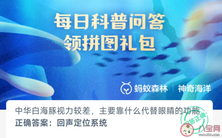 中華白海豚視力較差主要靠什么代替眼睛的功能 神奇海洋2月28日答案 中華白海豚視力較差主要靠什么代替眼睛的功能 神奇海洋2月28日答案