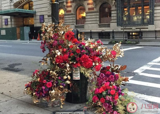 你知道花藝裝置設(shè)計師的主要工作是什么嗎 螞蟻新村3月1日答案