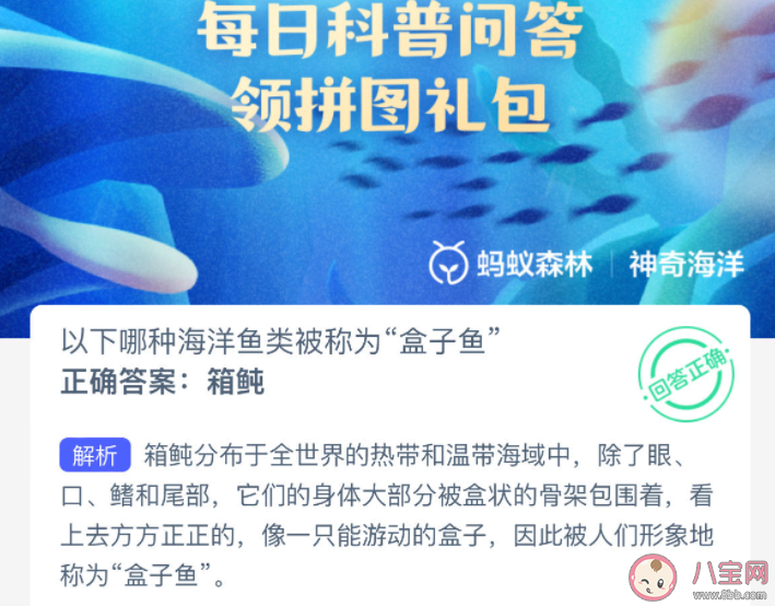 以下哪種海洋魚類被稱為盒子魚 神奇海洋3月4日答案 以下哪種海洋魚類被稱為盒子魚 神奇海洋3月4日答案