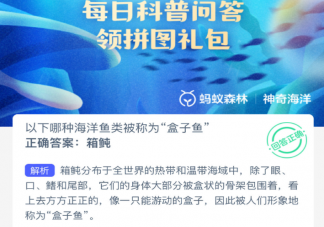 以下哪種海洋魚類被稱為盒子魚 神奇海洋3月4日答案