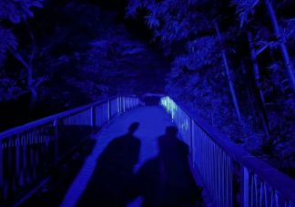 鹿晗《影子》歌詞是什么 《影子》歌詞歌曲介紹