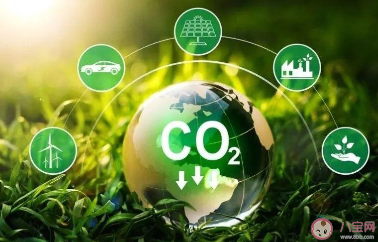 以下哪個職業有碳管家之稱 螞蟻新村3月5日答案