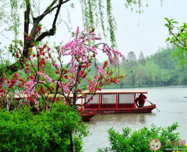 詩(shī)句千里鶯啼綠映紅水村山郭酒旗風(fēng)描寫(xiě)的是哪個(gè)季節(jié)的景色 螞蟻莊園3月6日答案 詩(shī)句千里鶯啼綠映紅水村山郭酒旗風(fēng)描寫(xiě)的是哪個(gè)季節(jié)的景色 螞蟻莊園3月6日答案