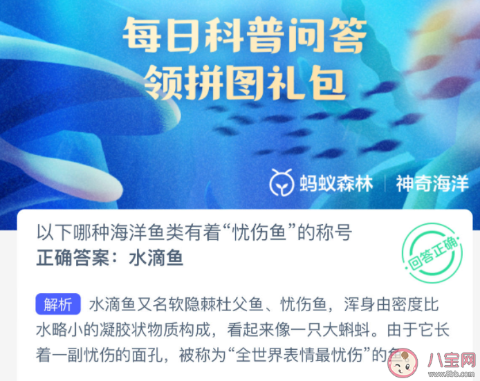 以下哪種海洋魚類有著憂傷魚的稱號 神奇海洋3月6日答案