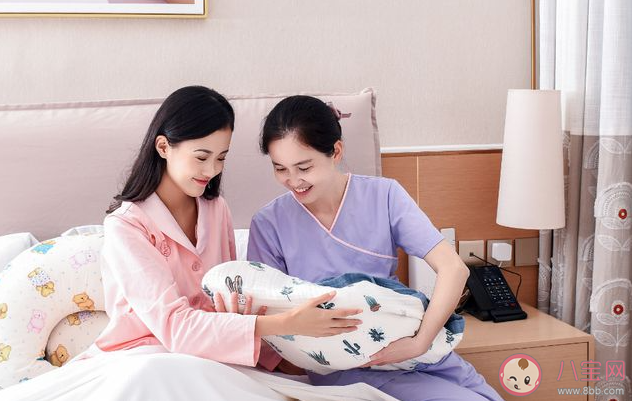 以下哪個職業是科學育嬰的好幫手 螞蟻新村3月7日答案