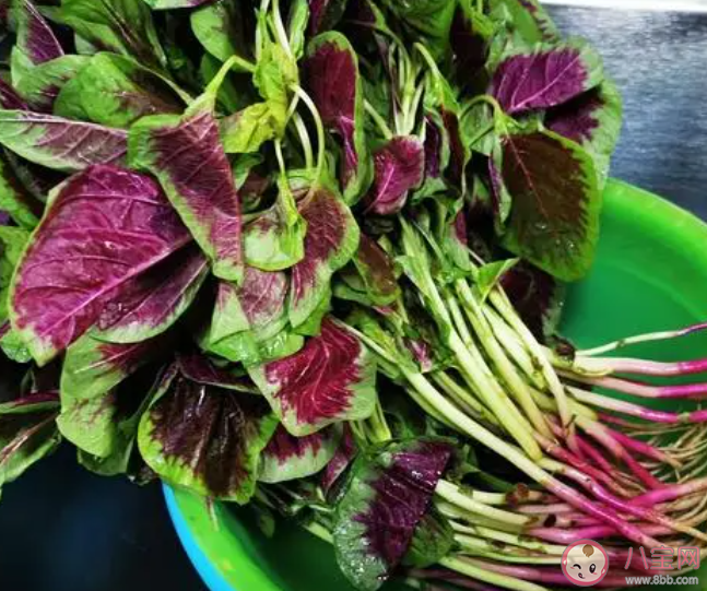 以下哪種蔬菜最好焯水后食用 螞蟻莊園3月9日答案