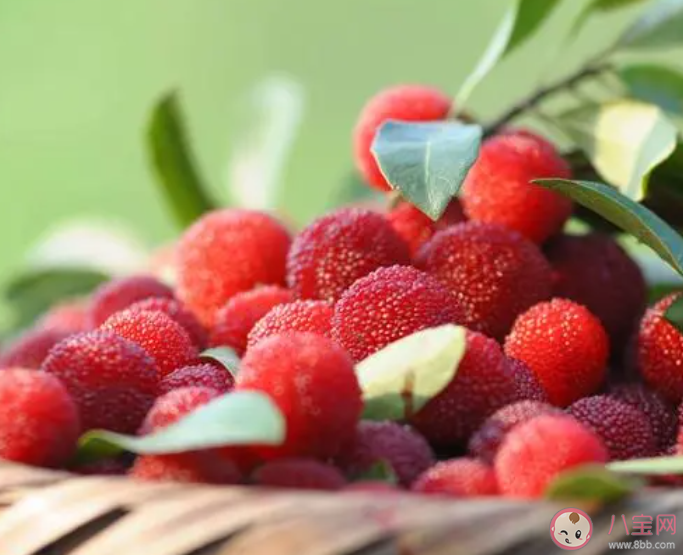 楊梅上市零售價每斤超100元是怎么回事 楊梅吃了有什么好處