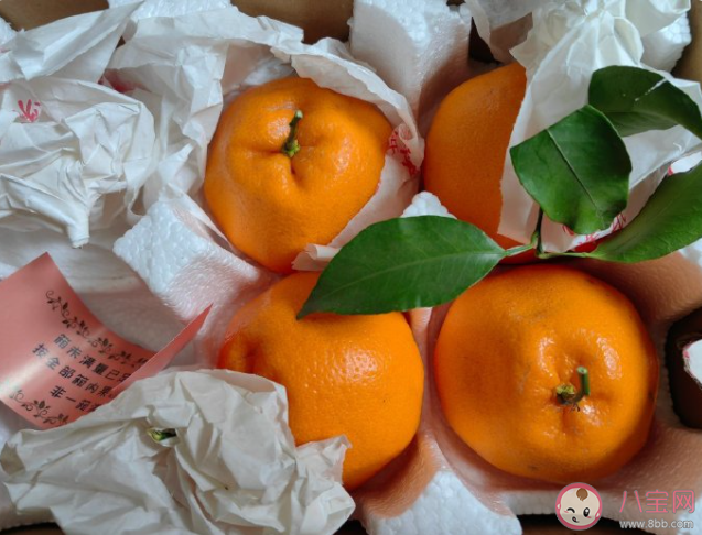 耙耙柑是世界上最善良的水果嗎 耙耙柑是什么時候吃的