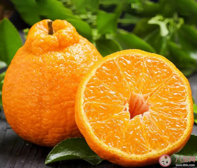 耙耙柑是世界上最善良的水果嗎 耙耙柑是什么時候吃的