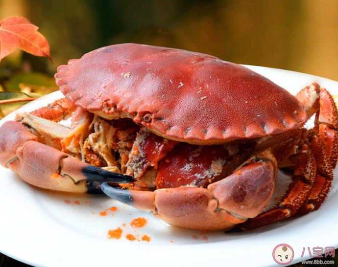 面包蟹之所以得名主要是因為什么 螞蟻新村3月19日答案