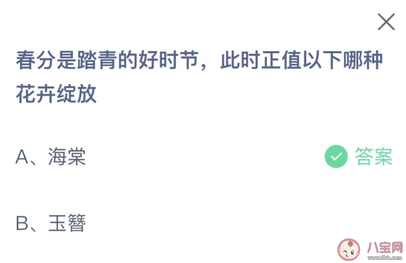 春分是踏青的好時節此時正值以下哪種花卉綻放 螞蟻莊園3月20日答案