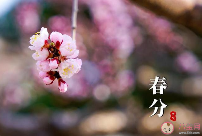 二氣莫交爭春分雨處行說的是哪個節氣 螞蟻莊園3月20日答案