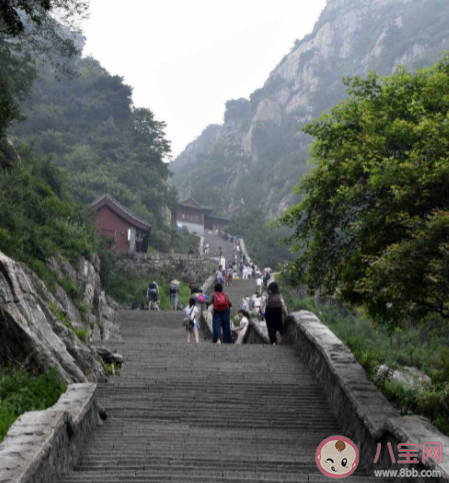 男子為徒步爬泰山把身份證存半山腰 徒步爬完泰山會有多累