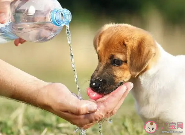 一定不要等到口渴才喝水嗎 哪些時候需要喝水