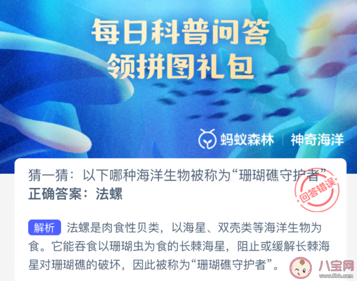以下哪種海洋生物被稱為珊瑚礁守護者 神奇海洋3月25日答案