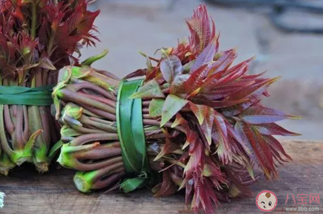 以下哪一項是春季常見的芽類蔬菜 螞蟻莊園3月26日答案