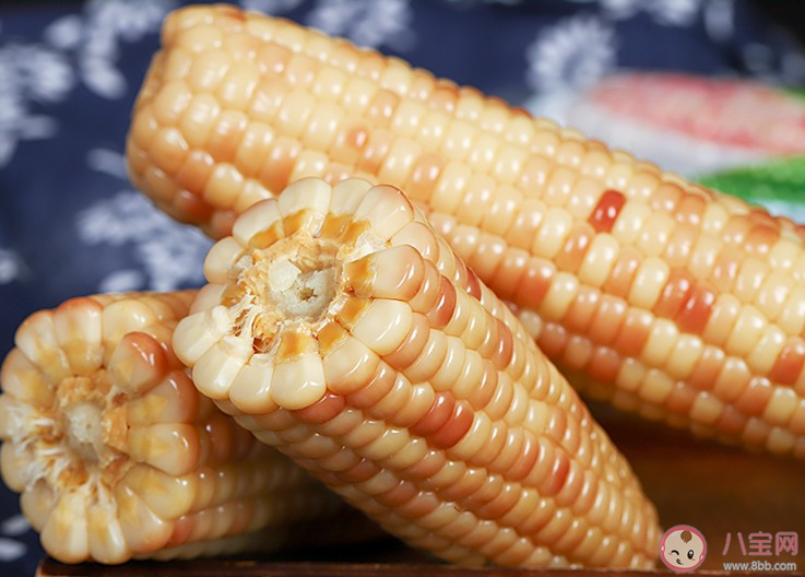 減肥吃甜玉米還是糯玉米 減肥三餐都吃玉米行嗎