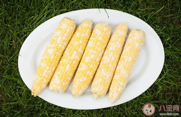減肥吃甜玉米還是糯玉米 減肥三餐都吃玉米行嗎