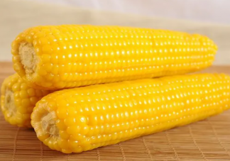 減肥吃甜玉米還是糯玉米 減肥三餐都吃玉米行嗎