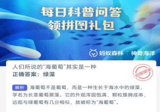 人們所說的海葡萄其實是一種什么 神奇海洋3月27日答案