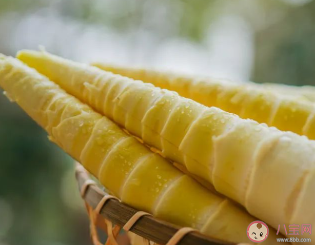 買回來的新鮮春筍吃不完怎么保存更合適 螞蟻莊園3月29日答案